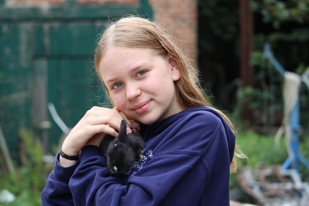Mädchen streichelt Kaninchen auf ihrem Arm
